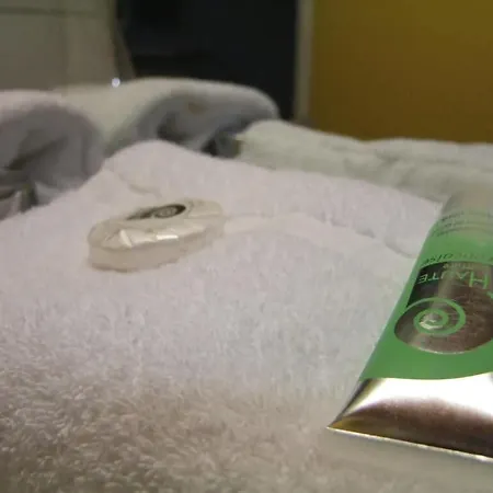 Arcantis Le Voltaire Otel Rennes